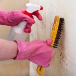 Servizio Pulizie 7 su 7 h24